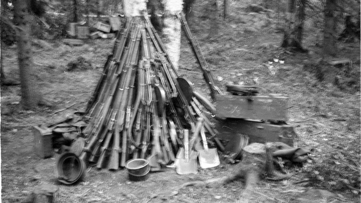 Sotasaalisaseita koottuna suomalaisessa metsässä